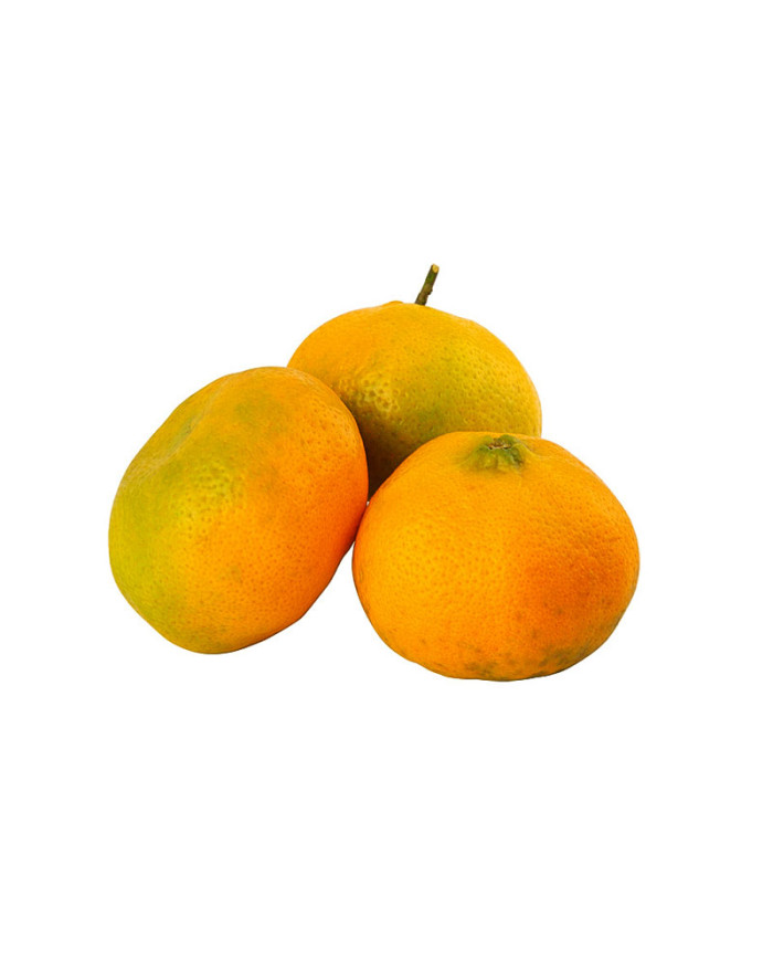 Mandarina Serrana Unidad