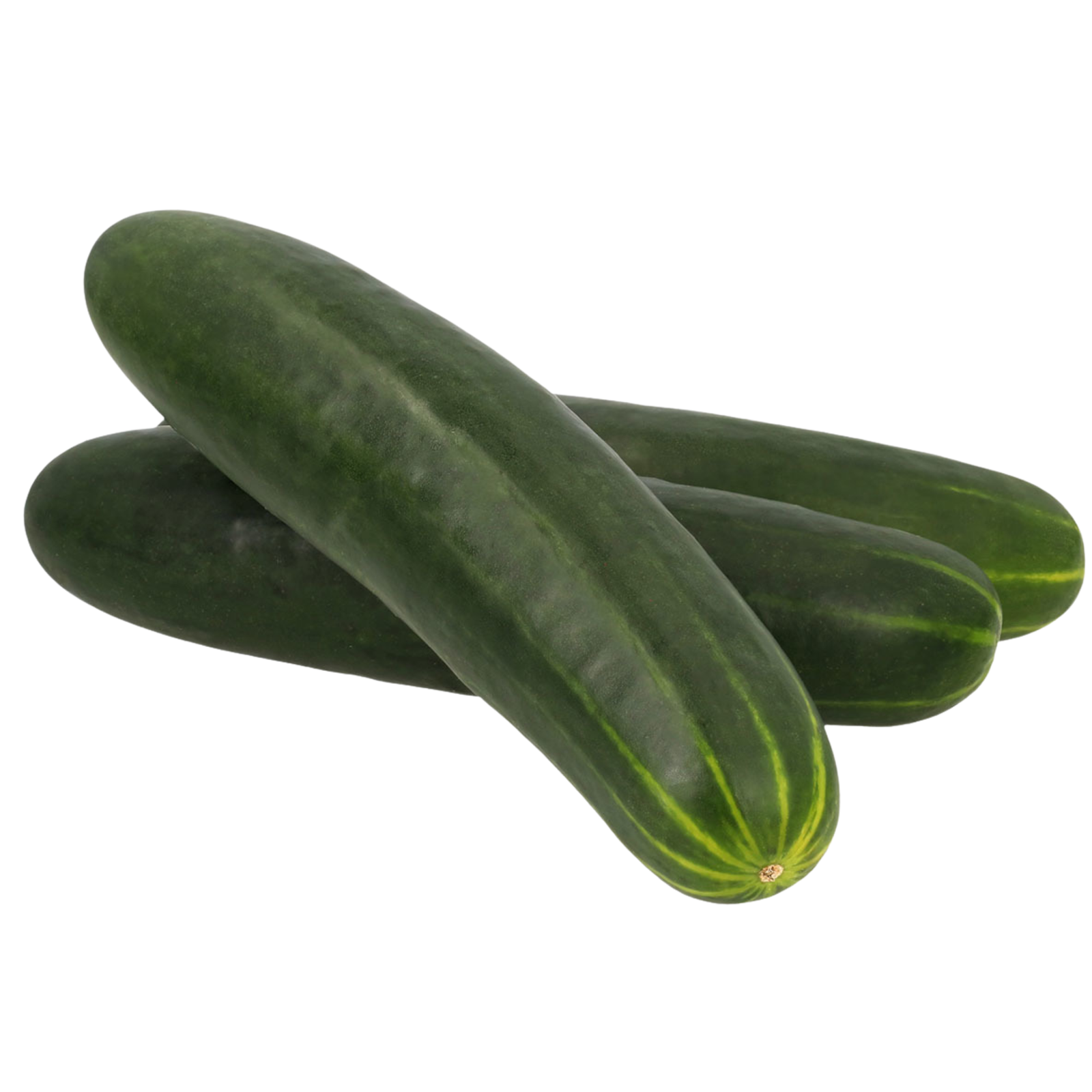 Pepino Media Docena