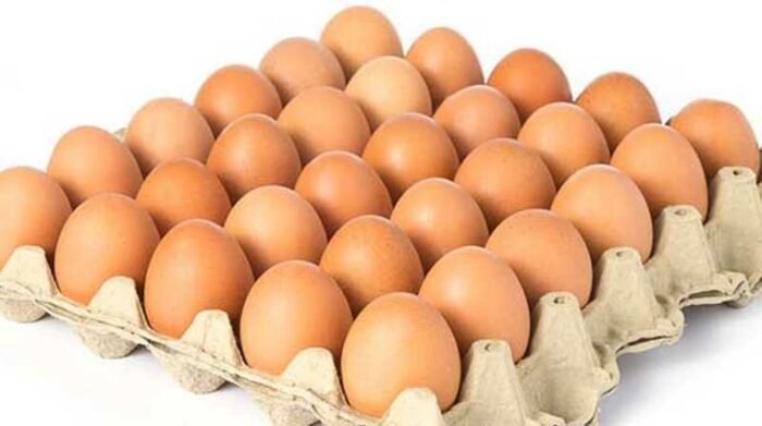 Huevos Medianos Cubeta